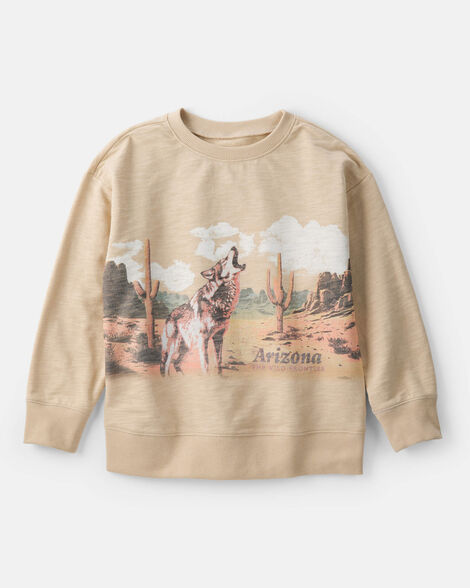 Boys Arizona Western Cotton Pullover Sweatshirt - Brown