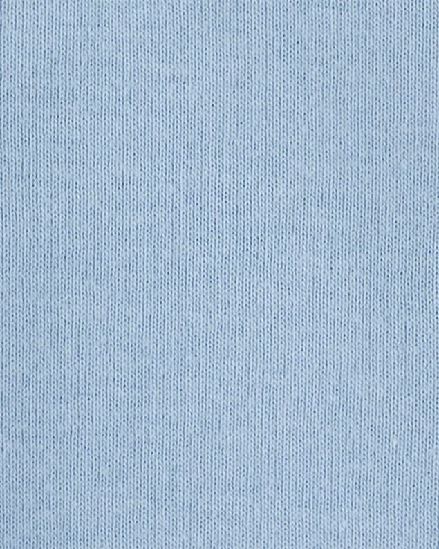 Baby Silly Goose Cotton Long-Sleeve Graphic Bodysuit - Blue