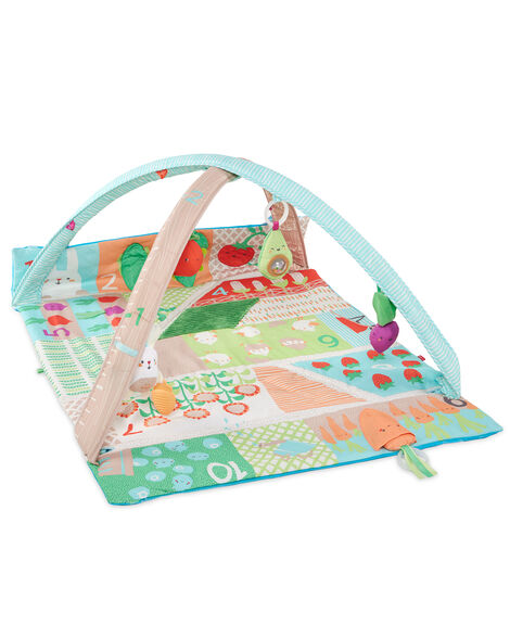 Farmstand Grow & Play Activity Gym