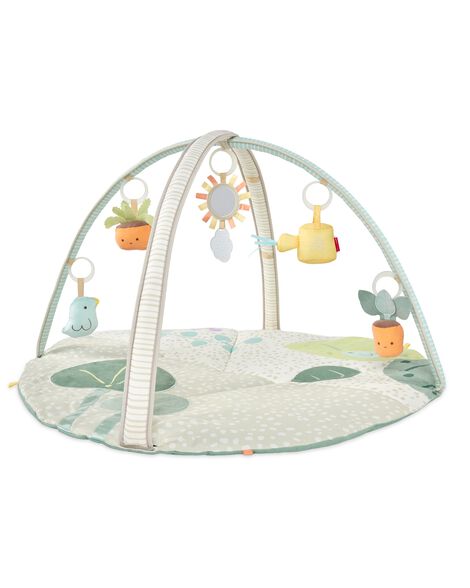 Garden Oasis Activity Gym