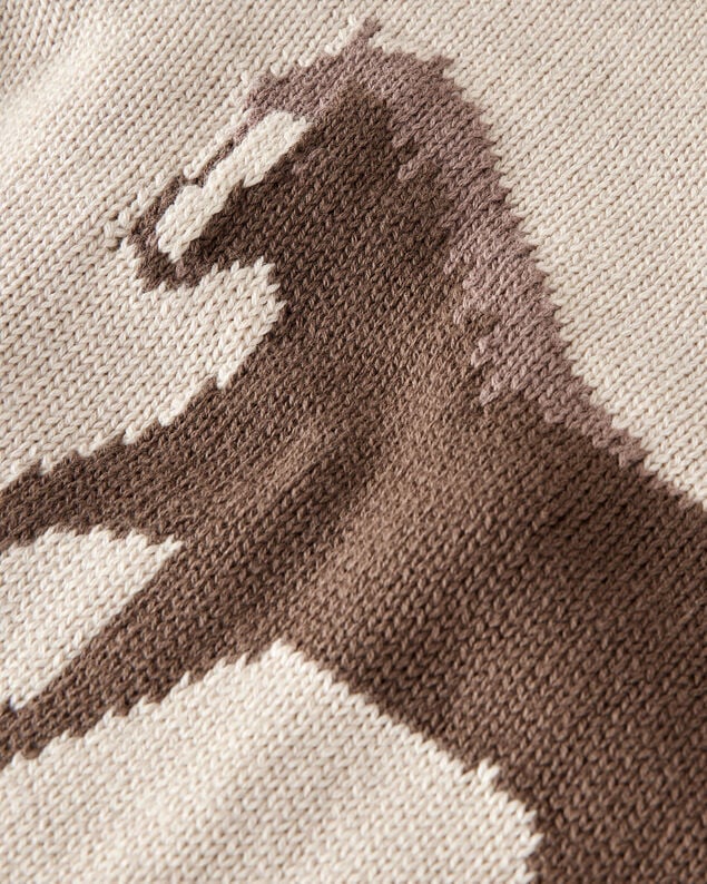 Product image 2 of Kid Organic Cotton Horse Sweater Knit