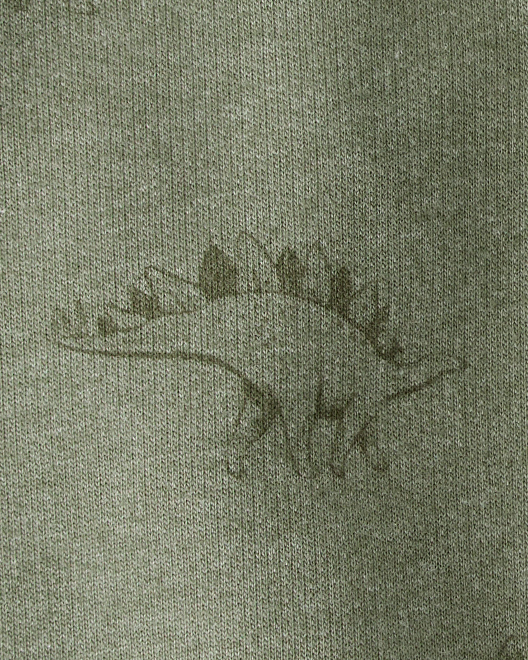Toddler Boy Dinosaur French Terry Jogger - Green