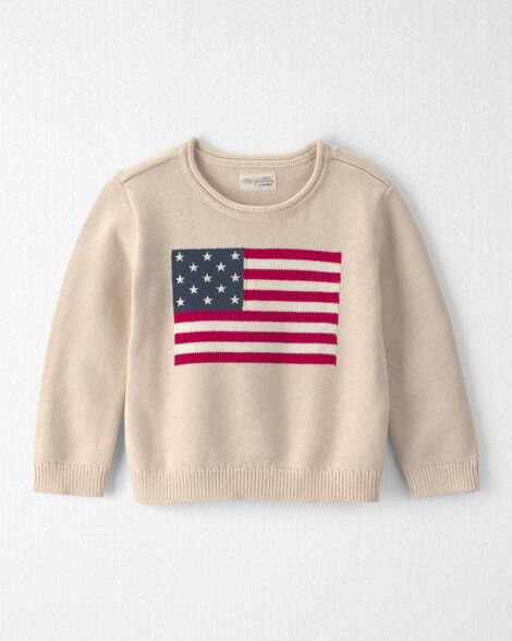 Toddler Organic Cotton American Flag Knit Sweater