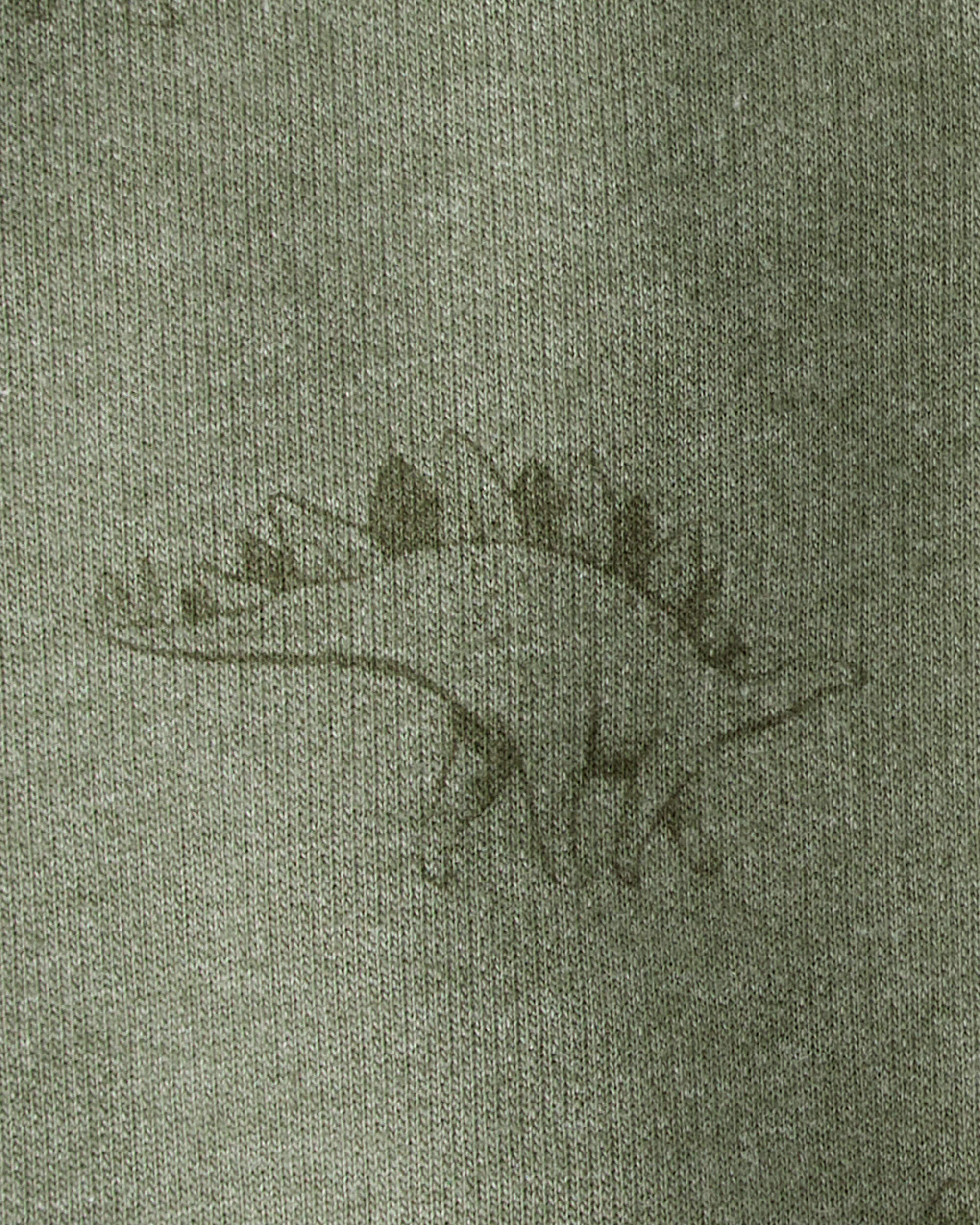 Toddler Boy Dinosaur French Terry Jogger - Green