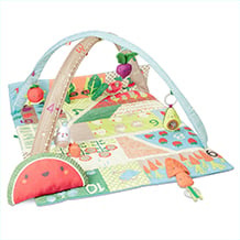 Farmstand Grow & Play Activity Gym Farmstand Grow & Play Activity Gym